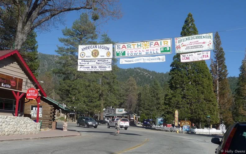 Banners On Display Downtown